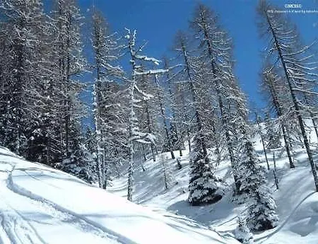 Отель Sila 3*